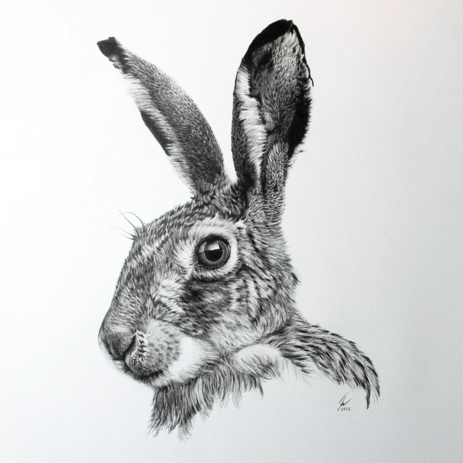 Ferlindis: Mezei Éberség (A3) - Image 2