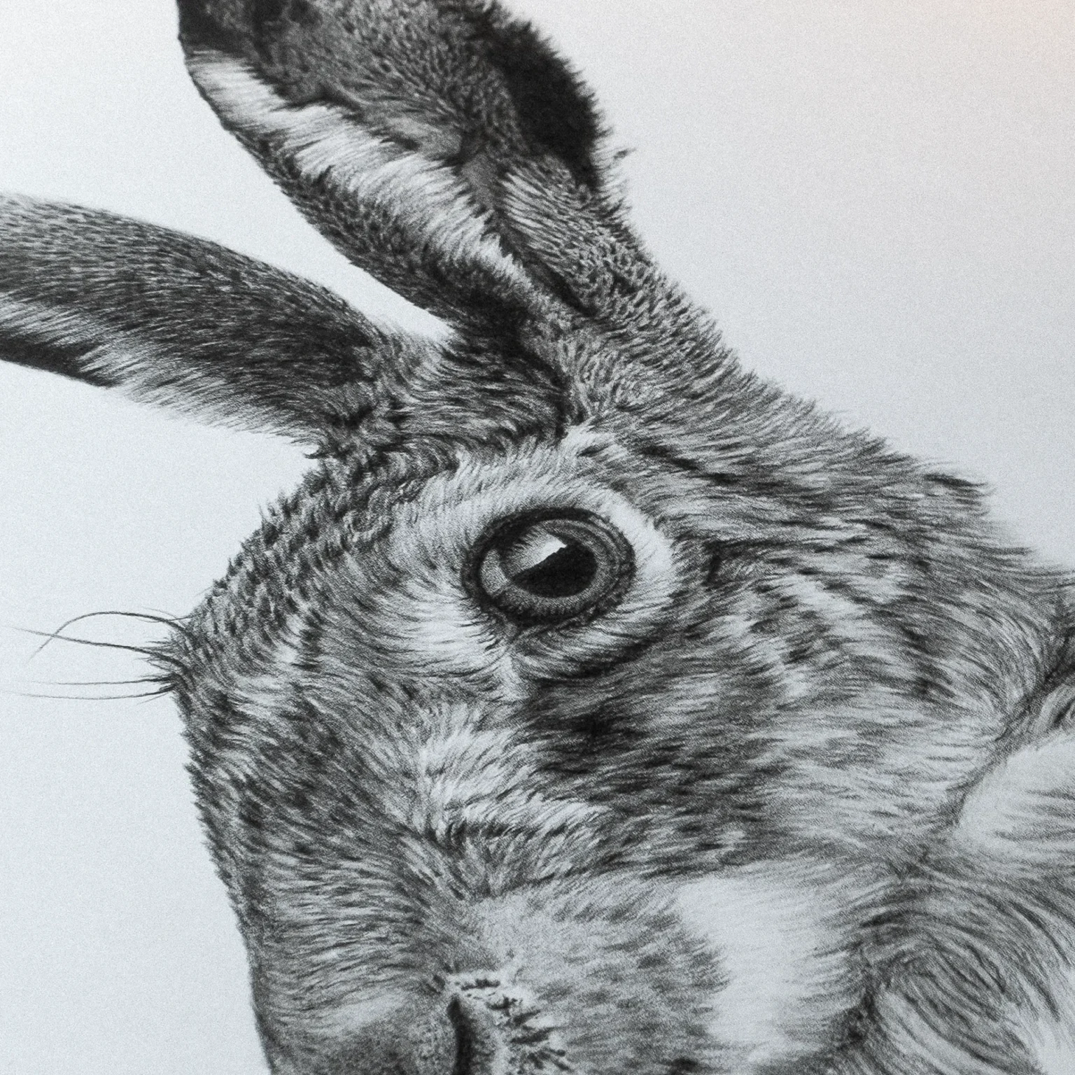 Ferlindis: Mezei Éberség (A3) - Image 4