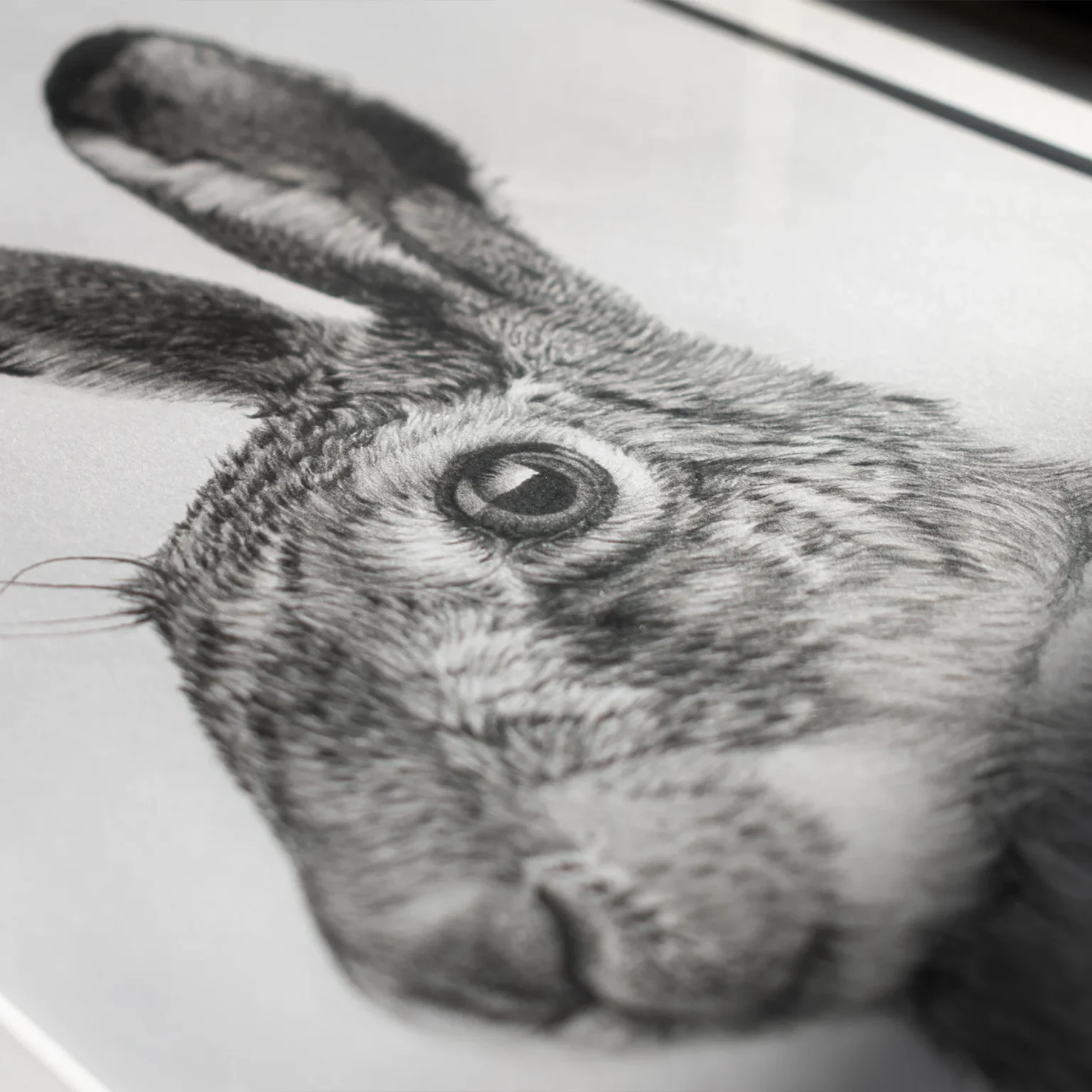 Ferlindis: Mezei Éberség (A3) - Image 7