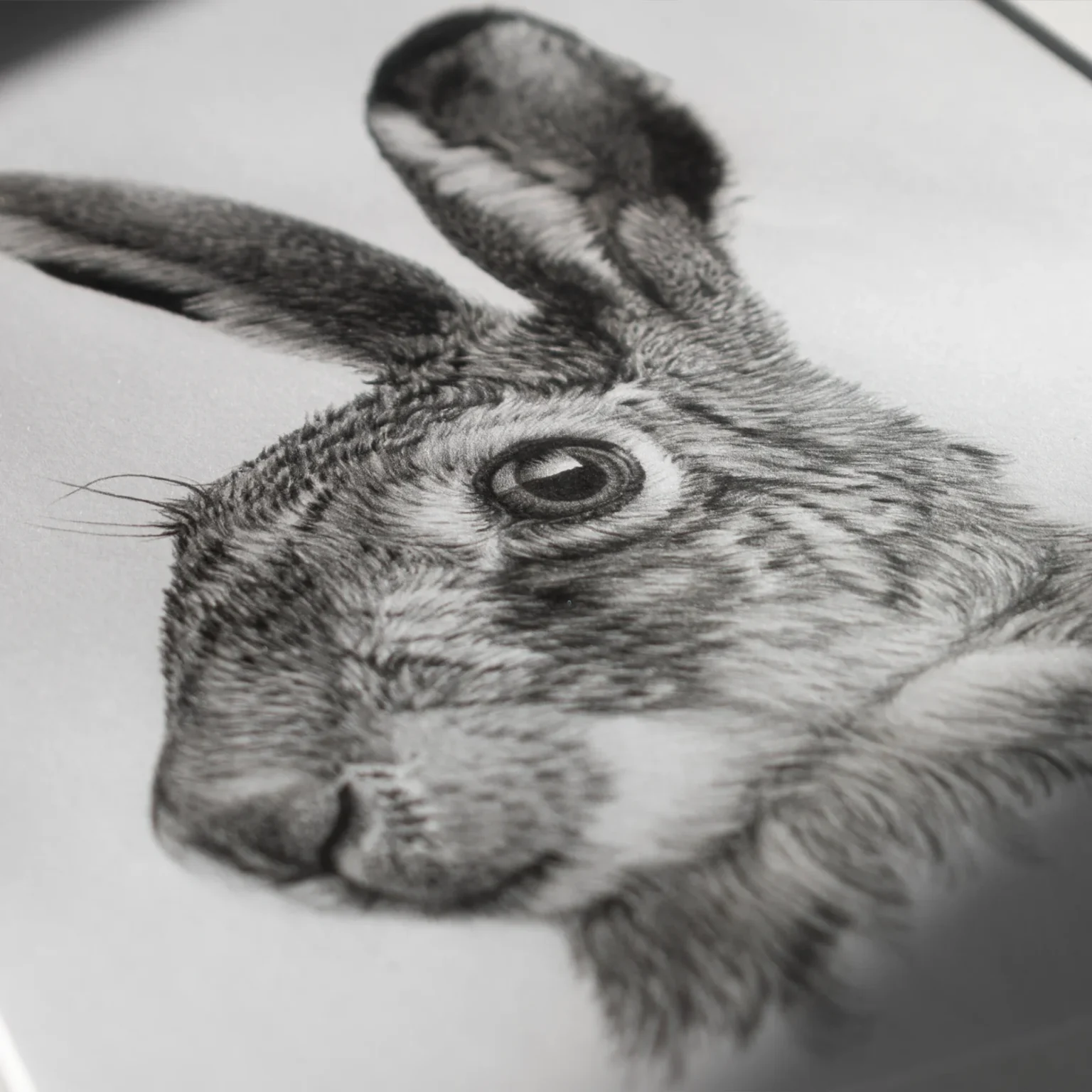 Ferlindis: Mezei Éberség (A3) - Image 8