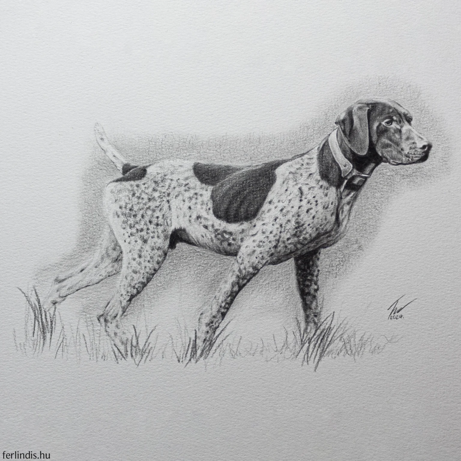 Ferlindis: Figyelem - Image 4