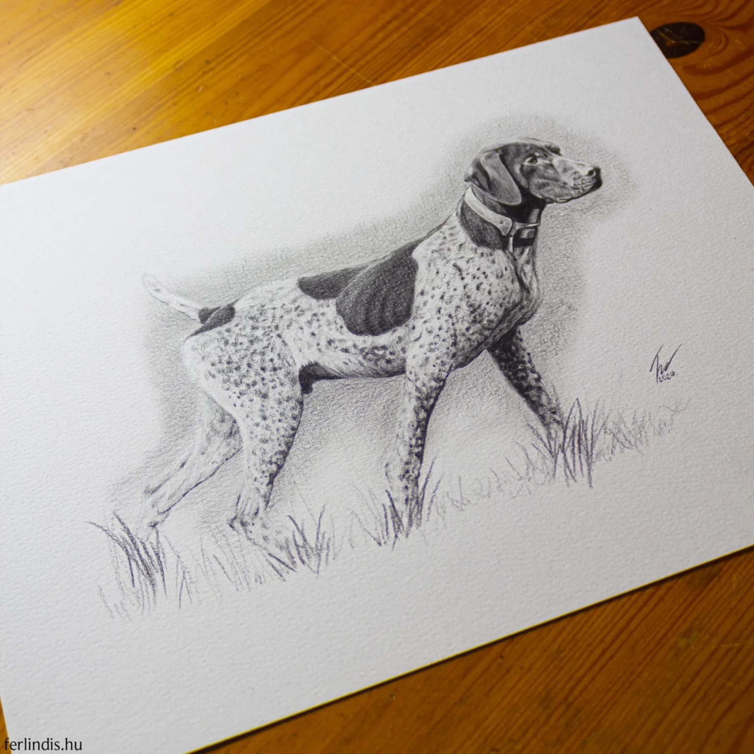 Ferlindis: Figyelem - Image 3