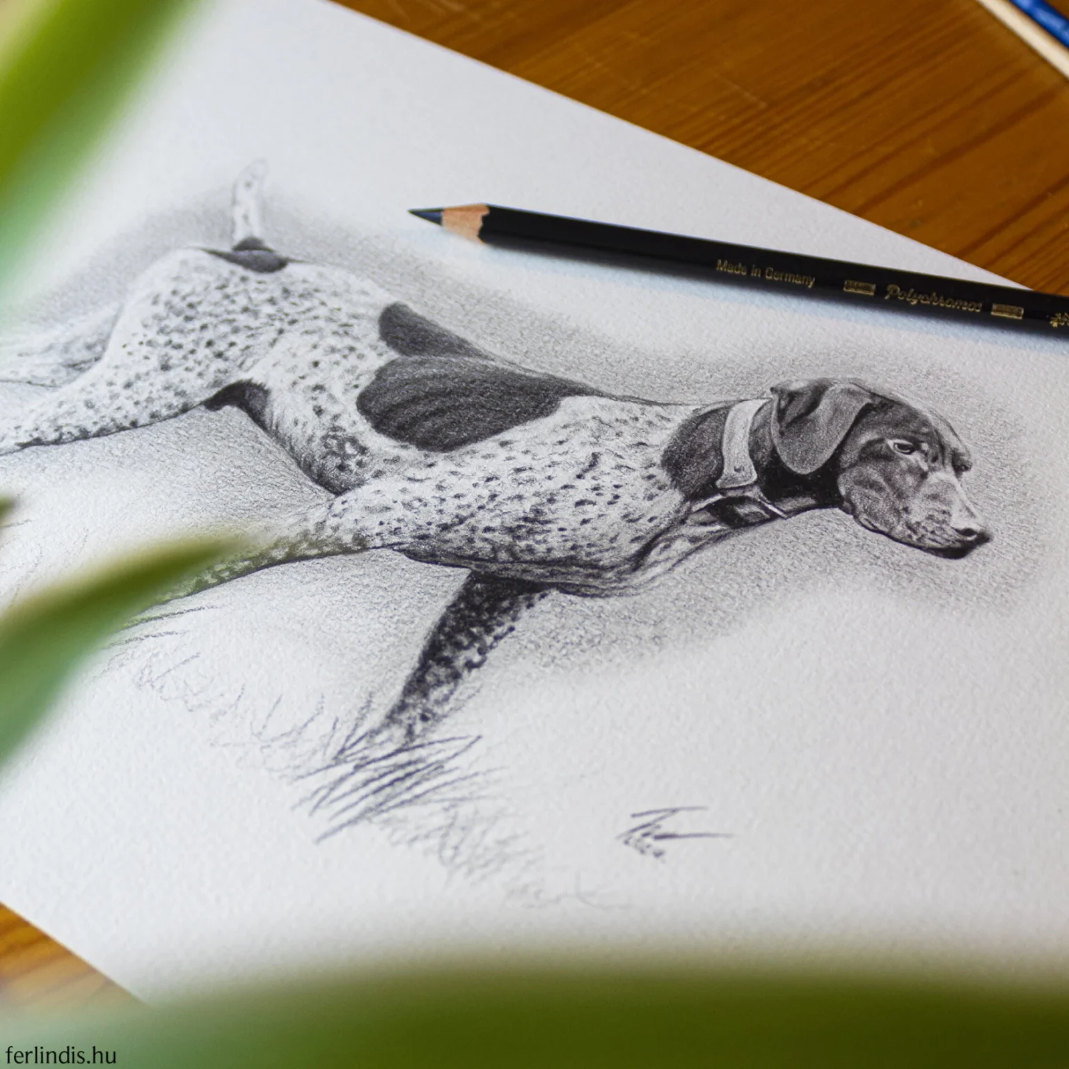 Ferlindis: Figyelem - Image 2