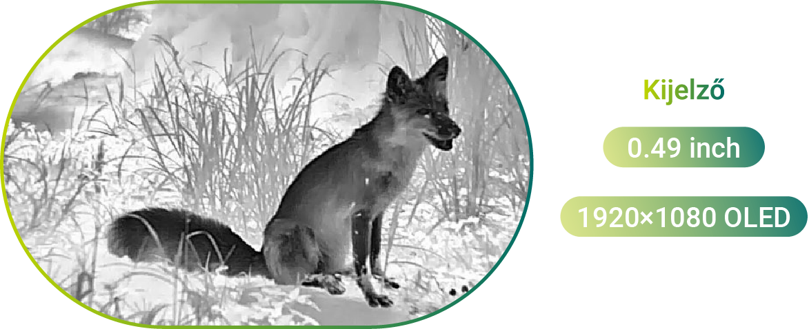 A Pixfra Sirius Hőkamera Keresőt&aacute;vcső 0.49 inch-es kijelzőve&eacute; &eacute;s 1920x1080 oled felbont&aacute;ssal rendelkezik. www.weigl.hu