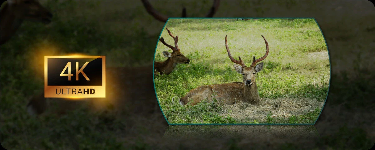 P&aacute;ratlan 4K UHD k&eacute;pminős&eacute;g gyenge f&eacute;nyviszonyok mellett is