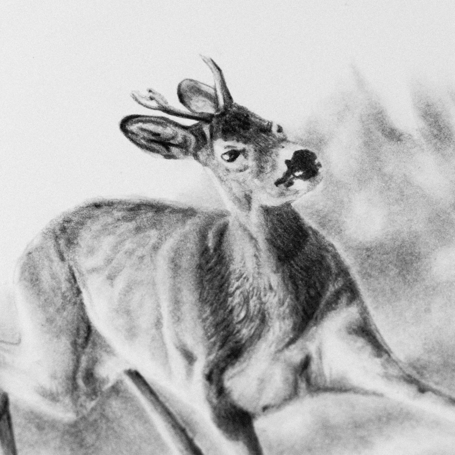 Ferlindis: Rohanás (A3) - Image 3