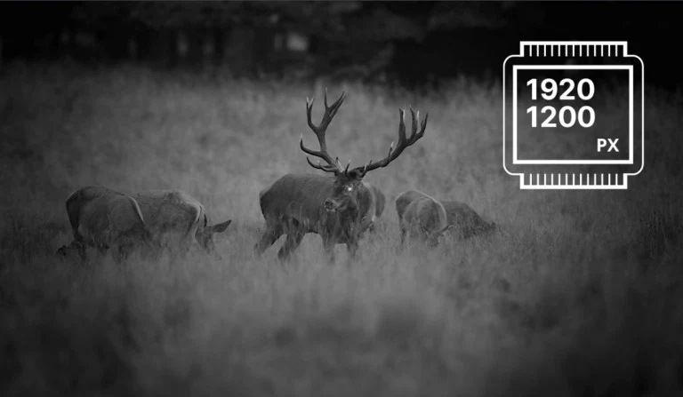 Digit&aacute;lis &eacute;jjell&aacute;t&oacute;