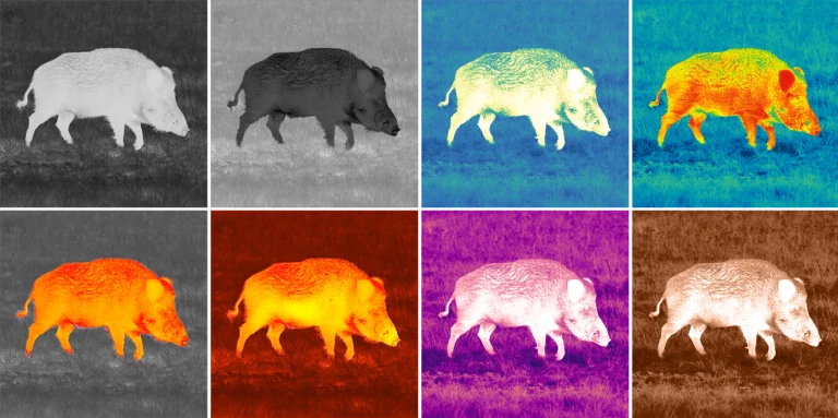 Sz&iacute;npalett&aacute;k