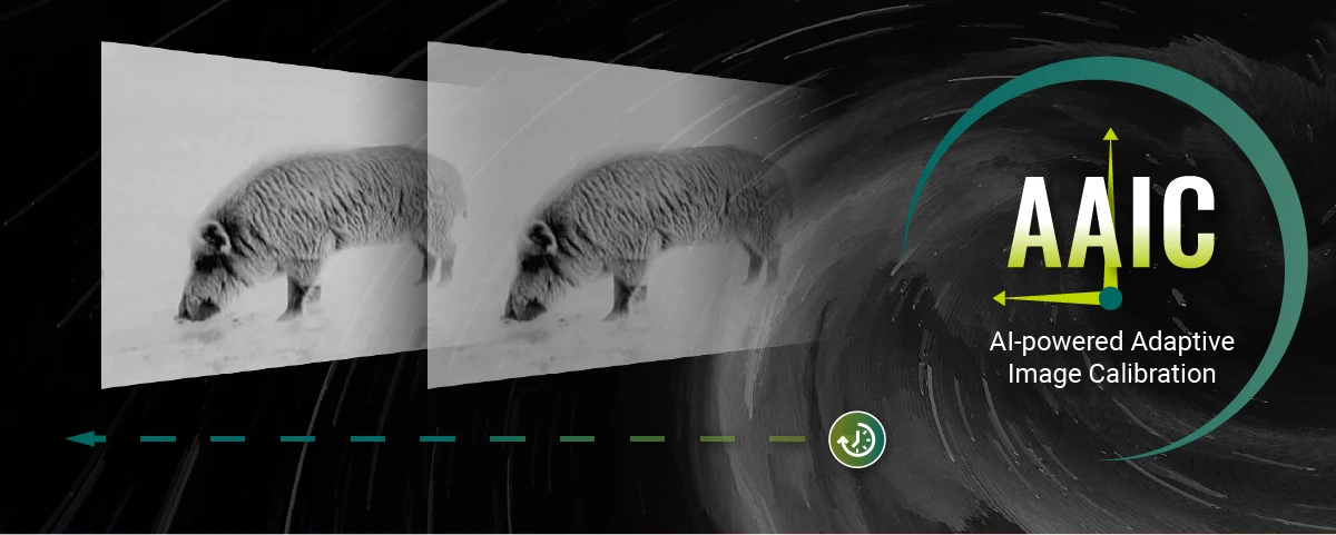 Diz&aacute;jn &eacute;s kezel&eacute;s